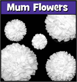Homecoming Mum Flowers