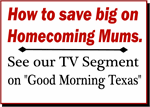 Mum TV Segment